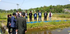广元市农业局副局长李仔贵副局长一行调研旺苍县水产工作