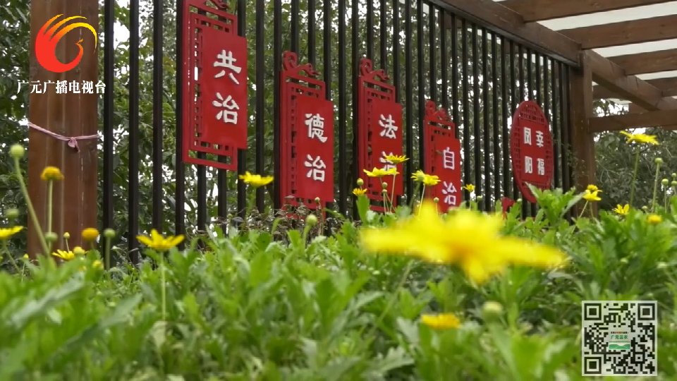 《广元三农》栏目——法治扶贫·助力全面小康（旺苍篇）