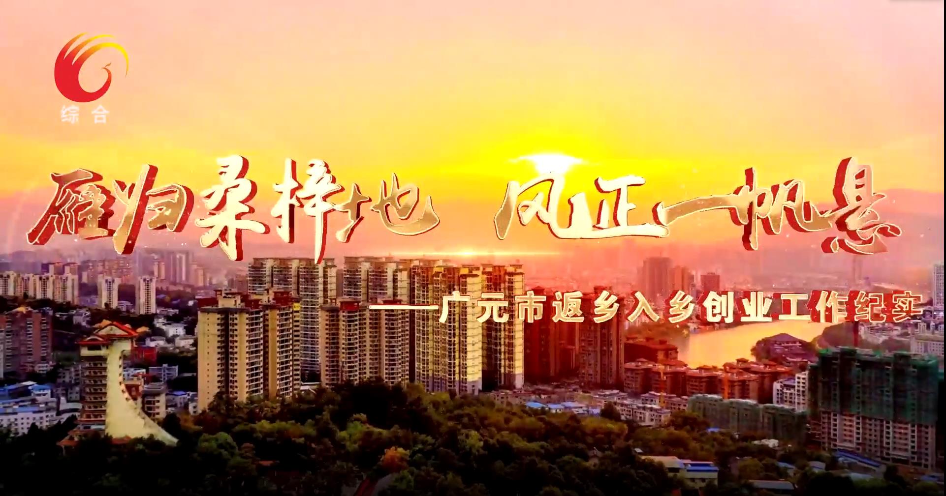 【焦点】雁归桑梓地 风正一帆悬——广元市返乡入乡创业工作纪实