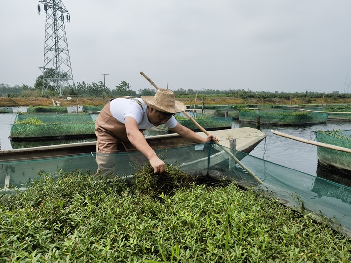 怀青春之志，逐未来之梦——全国多地五四青年节活动扫描